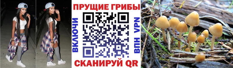 Галлюциногенные грибы GOLDEN TEACHER  Жигулёвск 